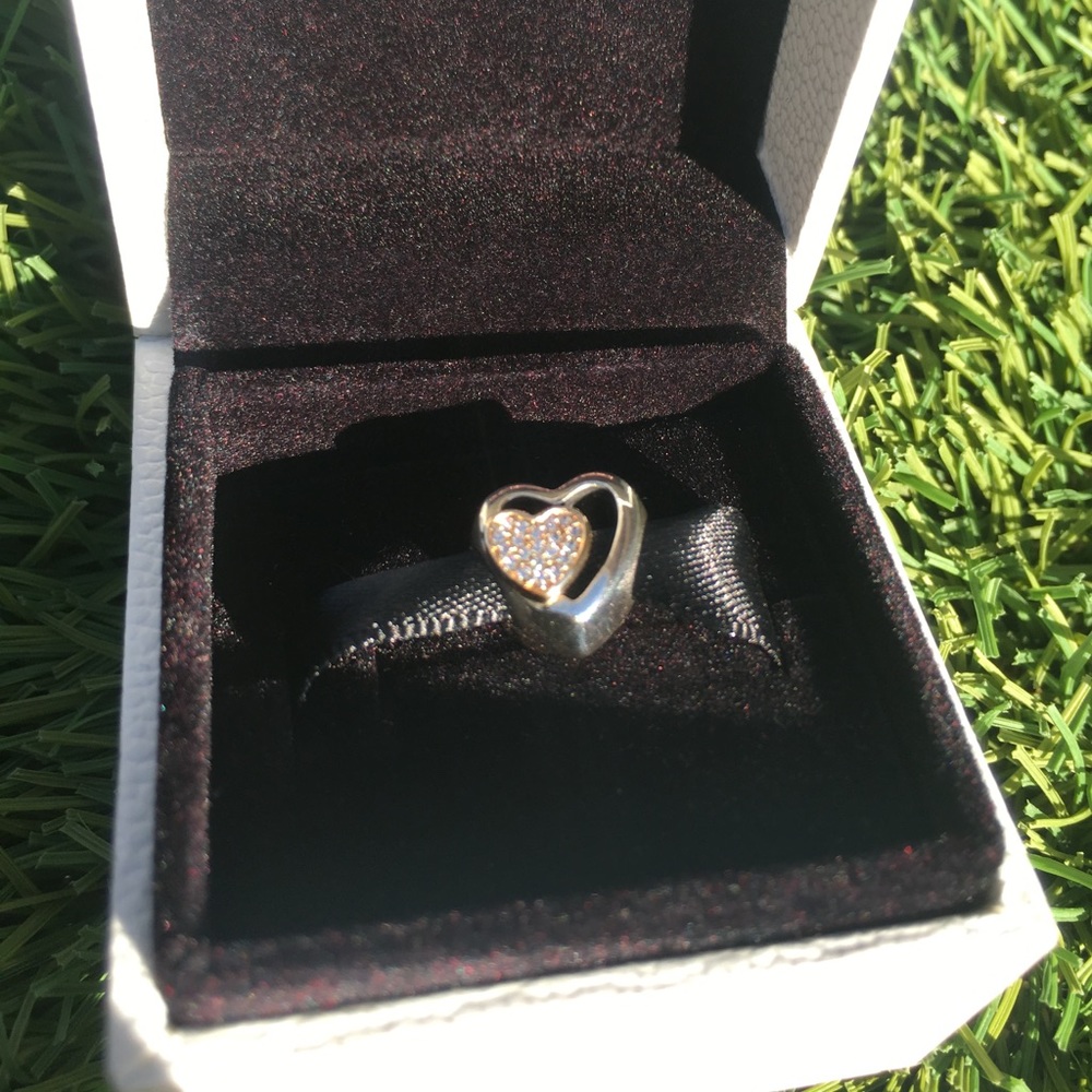 Beautiful Pandora charm